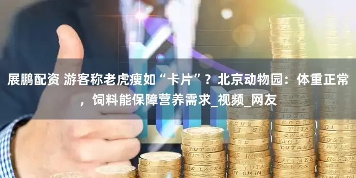 展鹏配资 游客称老虎瘦如“卡片”？北京动物园：体重正常，饲料能保障营养需求_视频_网友