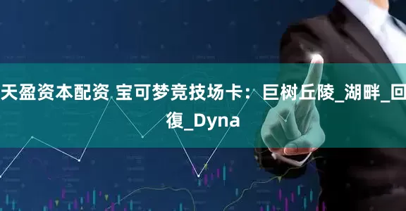 天盈资本配资 宝可梦竞技场卡：巨树丘陵_湖畔_回復_Dyna