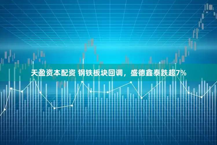 天盈资本配资 钢铁板块回调，盛德鑫泰跌超7%