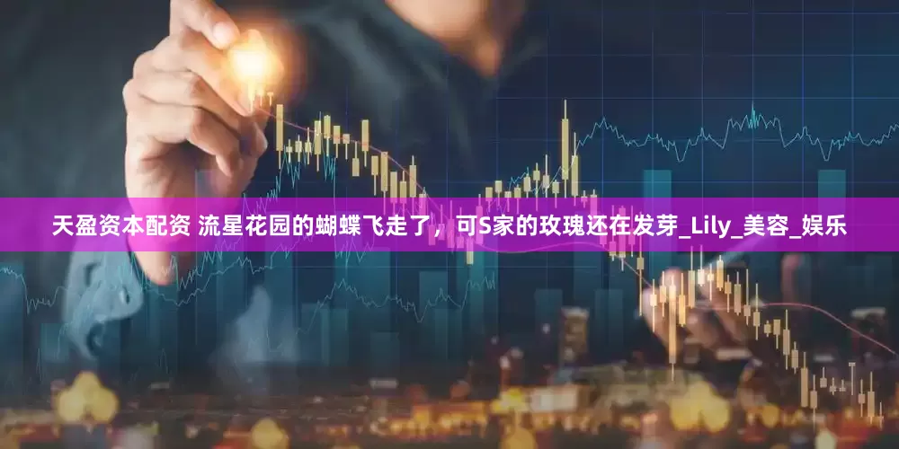 天盈资本配资 流星花园的蝴蝶飞走了，可S家的玫瑰还在发芽_Lily_美容_娱乐