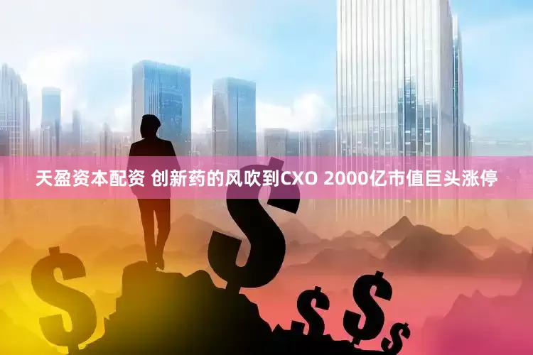天盈资本配资 创新药的风吹到CXO 2000亿市值巨头涨停