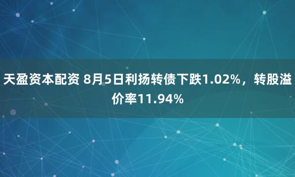 天盈资本配资 8月5日利扬转债下跌1.02%，转股溢价率11.94%